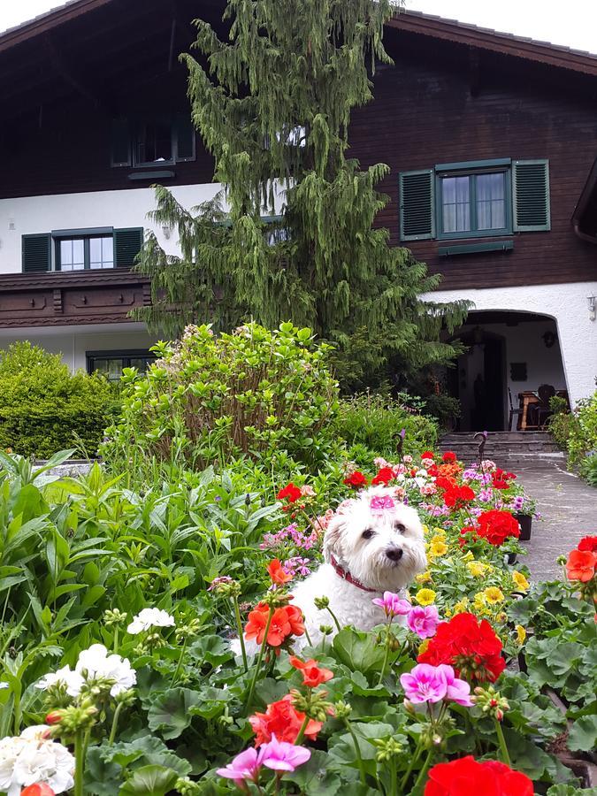 Haus Am Moos Bed and Breakfast Salzburg Buitenkant foto