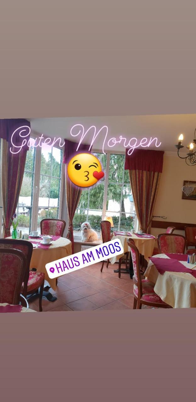 Haus Am Moos Bed and Breakfast Salzburg Buitenkant foto
